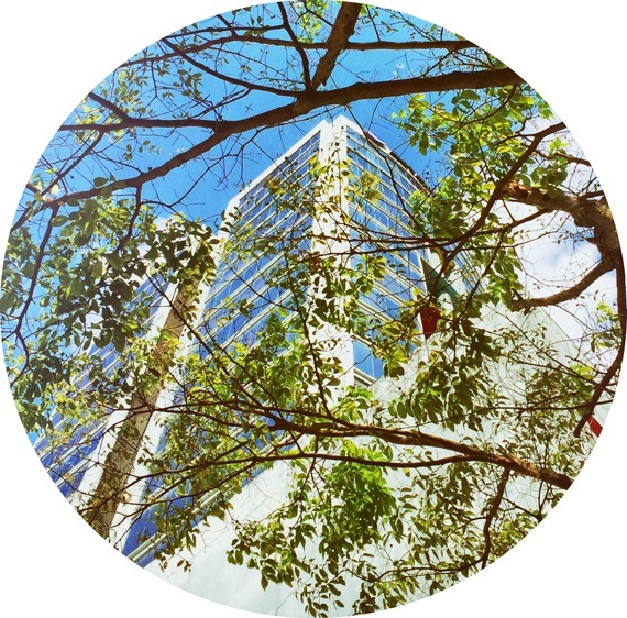Torre Advanced Panama