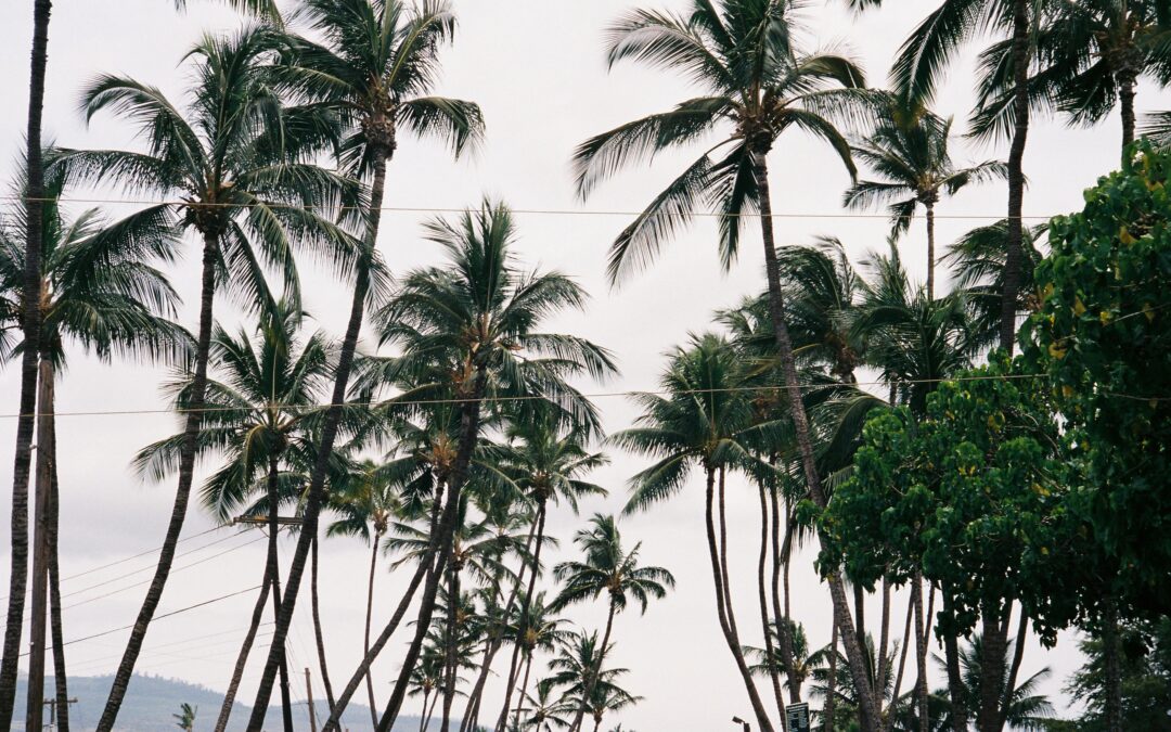 Four Things To Know About the Lifestyle for Retirees in Panama